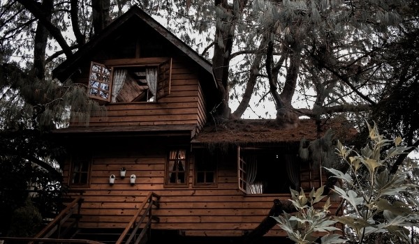 Tennessee Treehouse